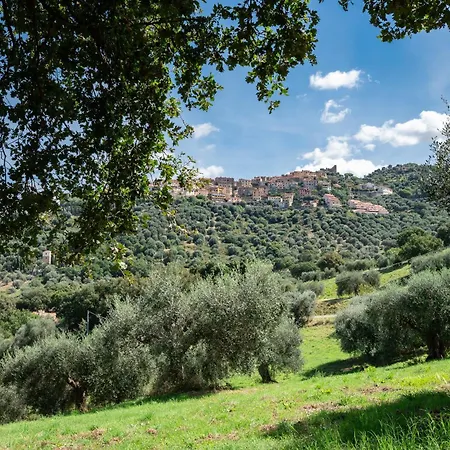 Il Melograno, Da Catia Скарлино